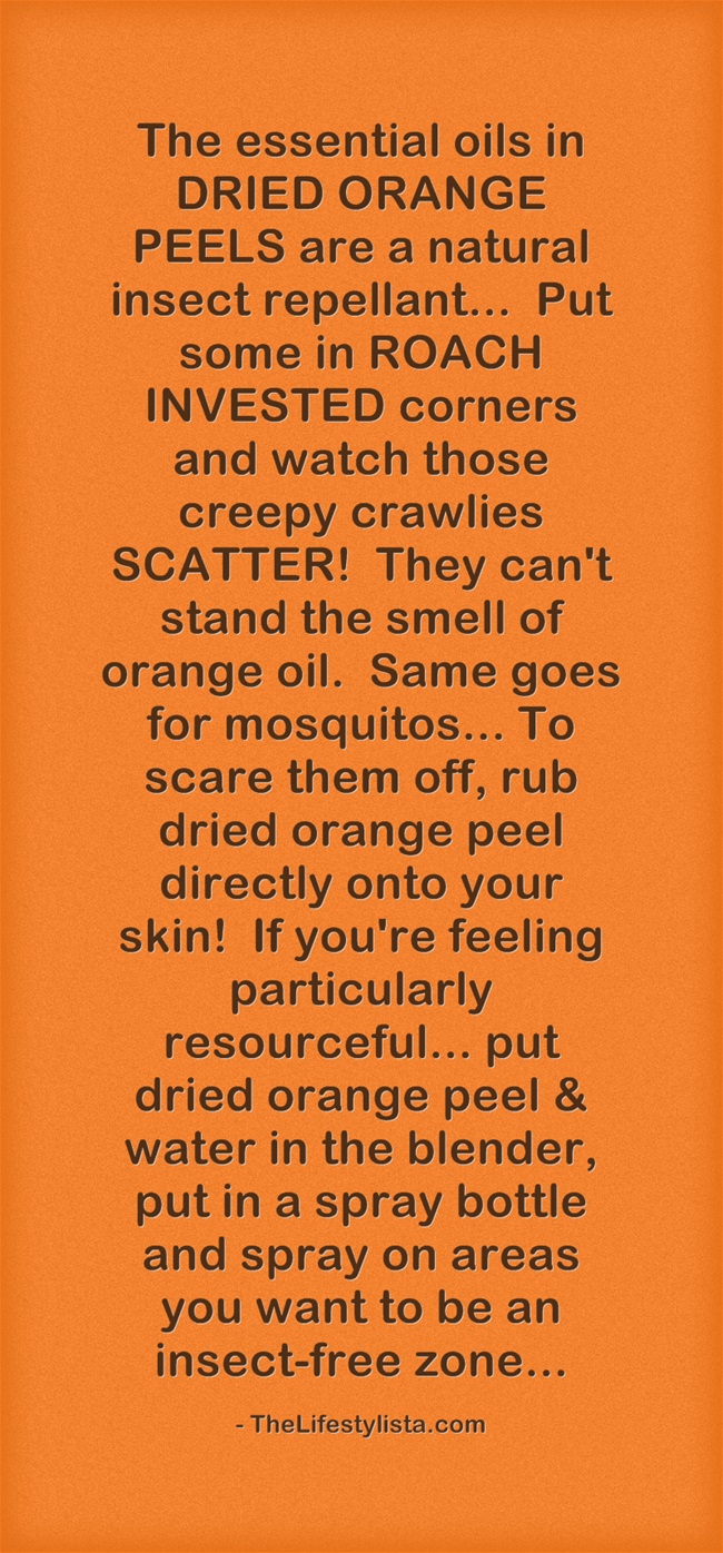 HOW ORANGE PEEL SCARES THE HECK OUT OF ROACHES & MOSQUITOS…